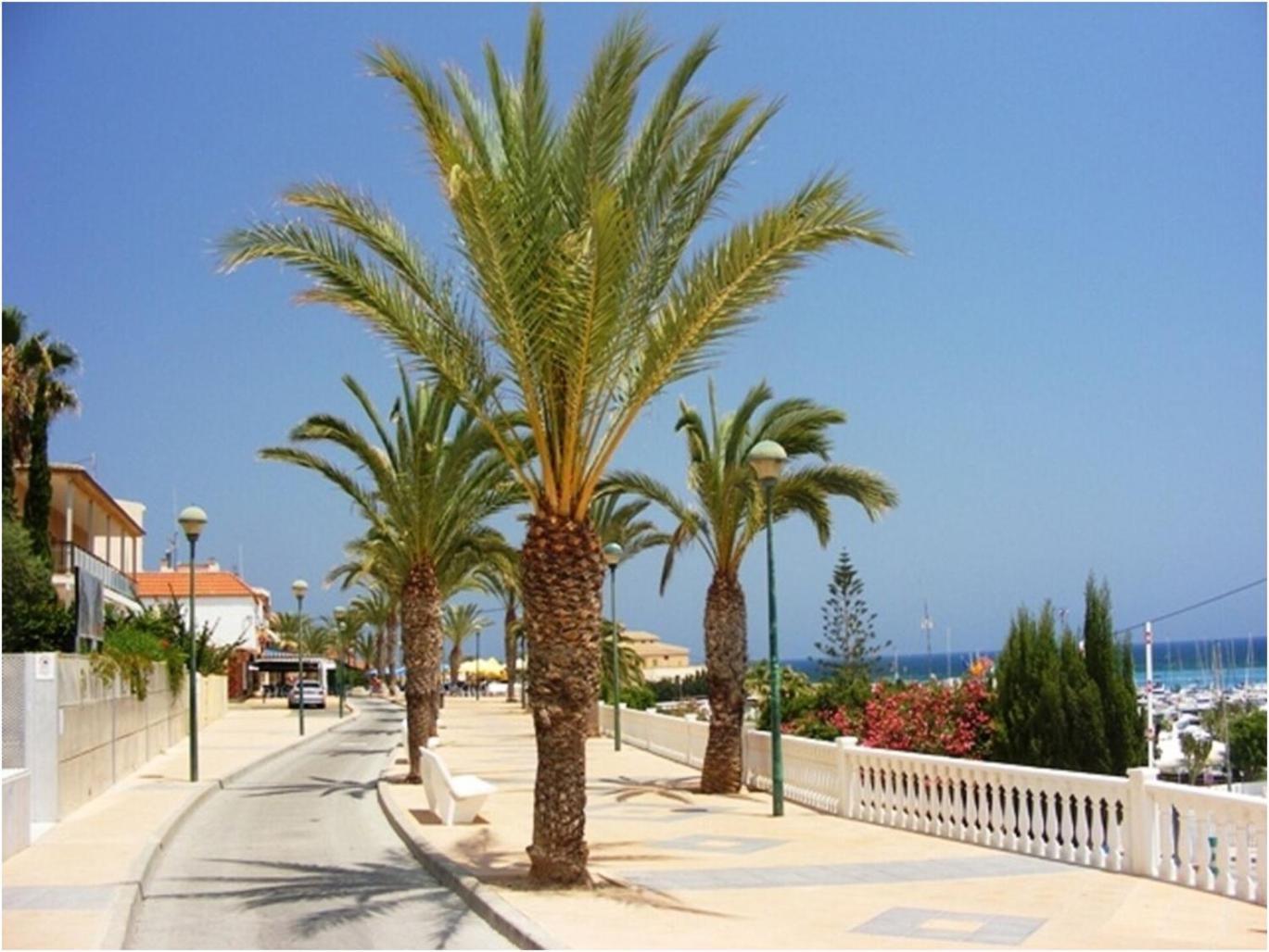 Torre De La Horadada - Modern And Comfortable 2 Bedroom Apartment Close To The Beach Torre de la Horadada Zewnętrze zdjęcie